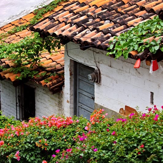 Unique Places to Visit and Points of Interest in Puerto Vallarta Mexico