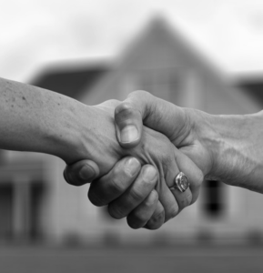 Owner and professional agreement, doing handshake